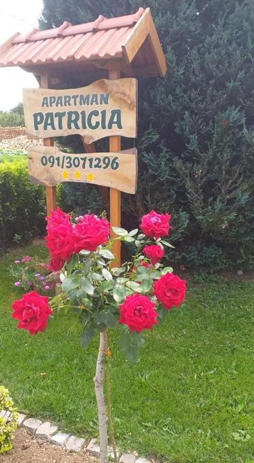 Apartman Patricia Fuzine Exterior photo